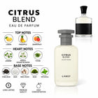 Citrus Blend Perfume With notes and scent comparison