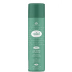 Lovely Air Freshener Spray by ALREHAB on White Background